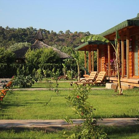 Cirali Almira Bungalow Oda fotoğraf