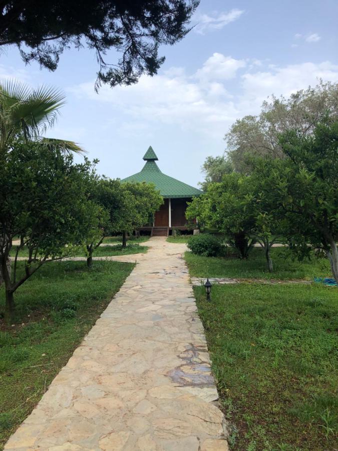Cirali Almira Bungalow Dış mekan fotoğraf