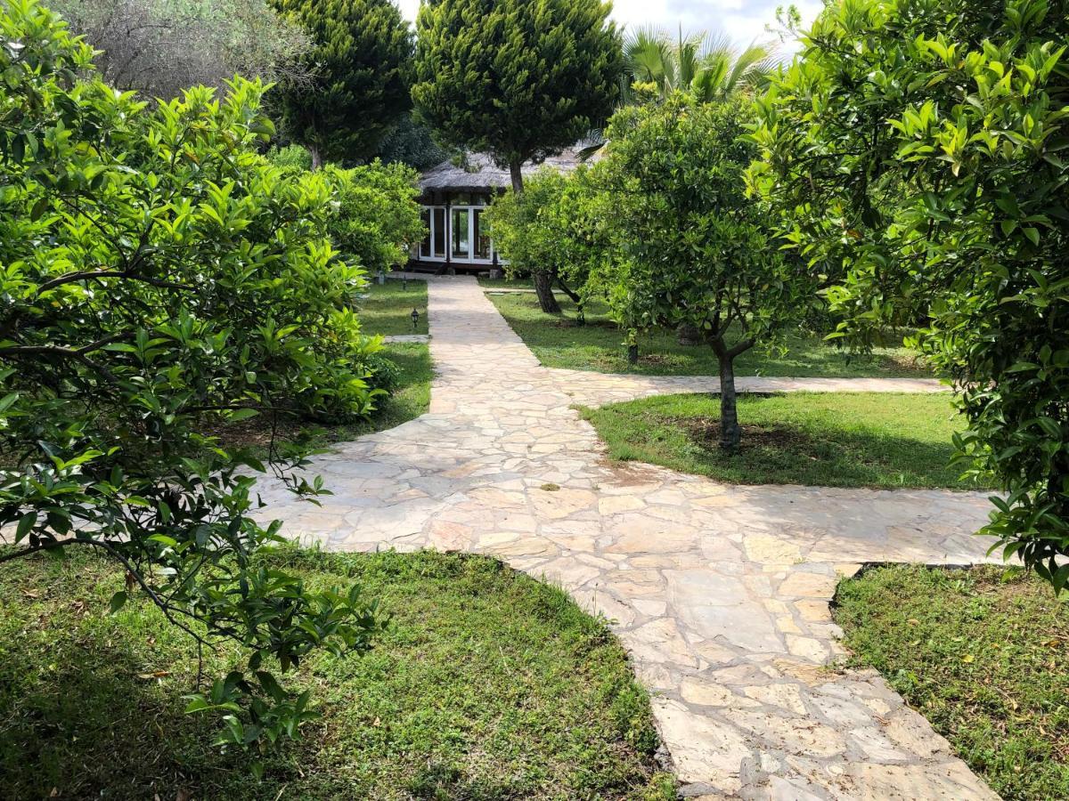 Cirali Almira Bungalow Dış mekan fotoğraf