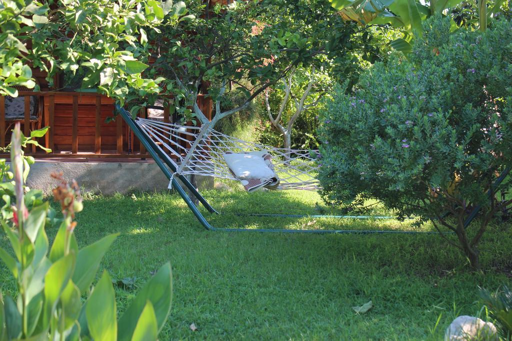Cirali Almira Bungalow Dış mekan fotoğraf