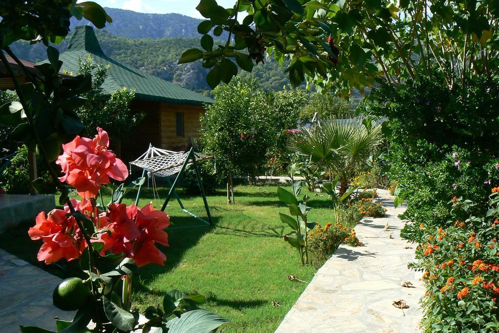 Cirali Almira Bungalow Dış mekan fotoğraf