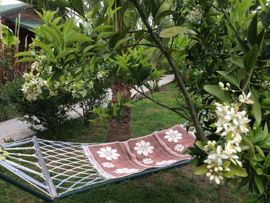 Cirali Almira Bungalow Dış mekan fotoğraf