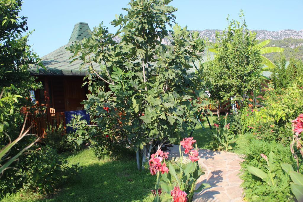 Cirali Almira Bungalow Oda fotoğraf