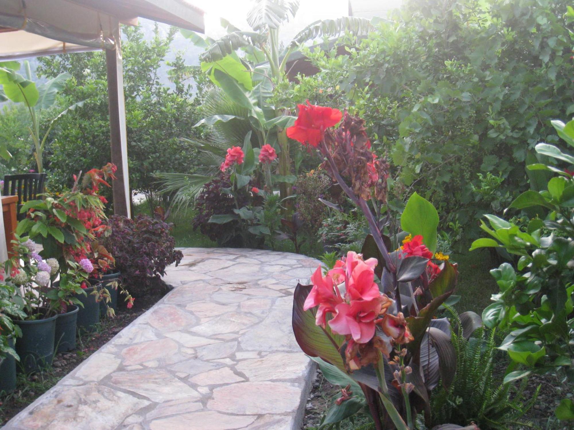 Cirali Almira Bungalow Dış mekan fotoğraf