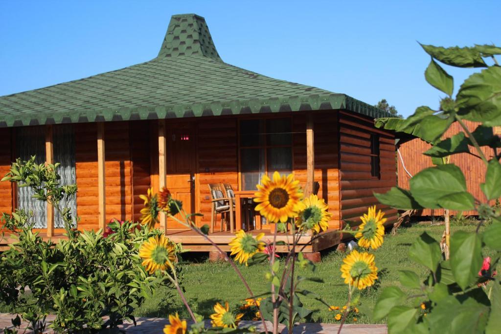 Cirali Almira Bungalow Dış mekan fotoğraf