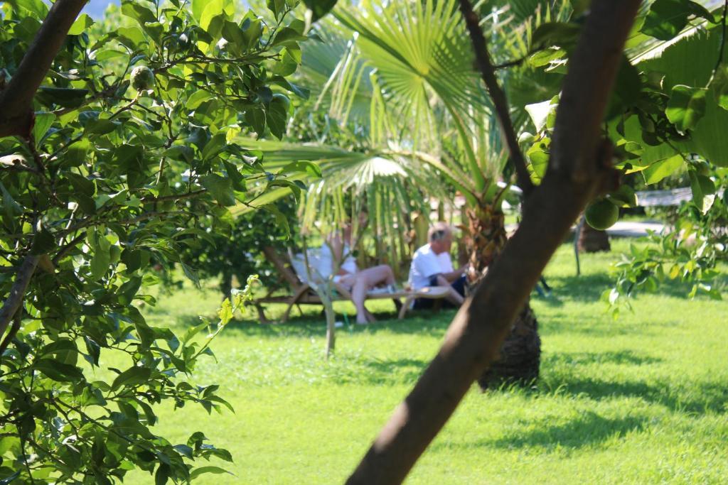Cirali Almira Bungalow Dış mekan fotoğraf