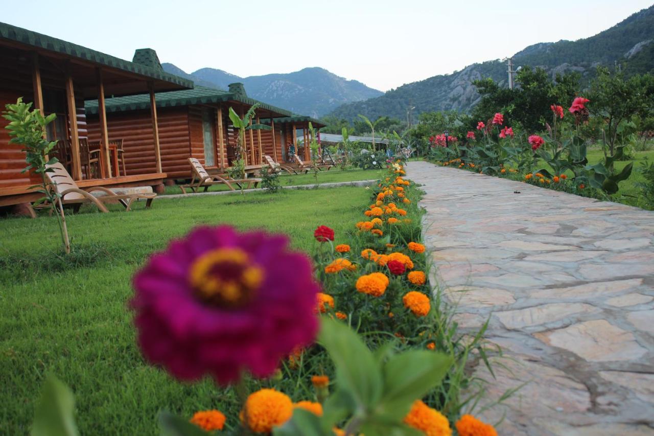 Cirali Almira Bungalow Oda fotoğraf