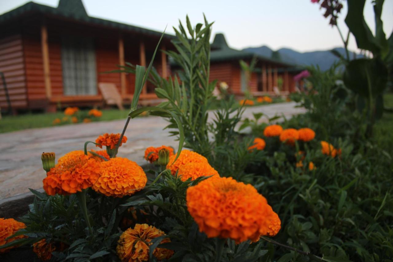 Cirali Almira Bungalow Oda fotoğraf