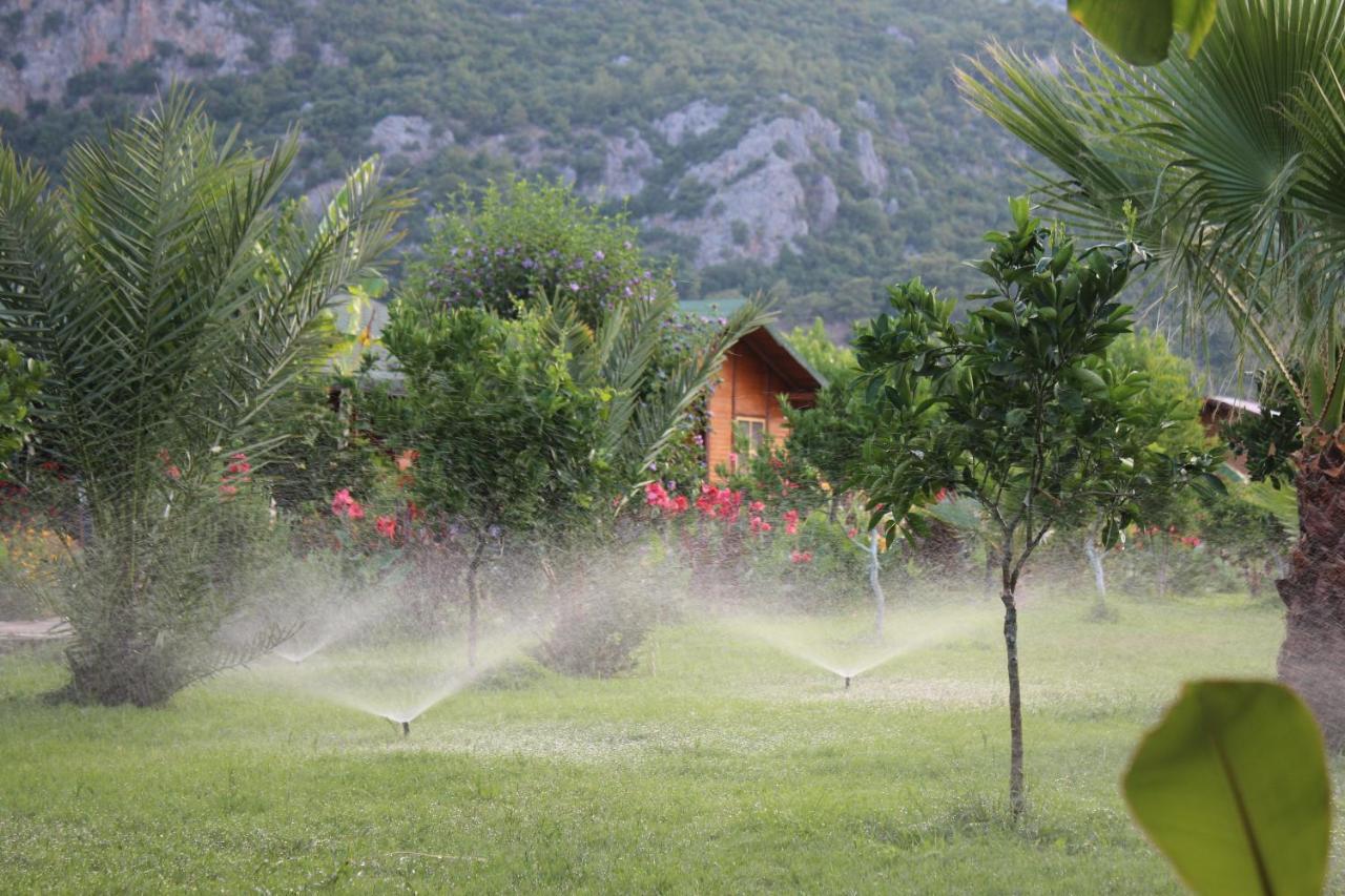 Cirali Almira Bungalow Dış mekan fotoğraf