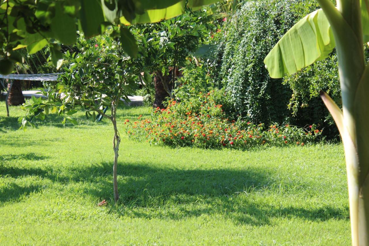 Cirali Almira Bungalow Dış mekan fotoğraf
